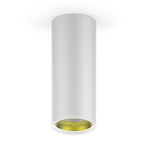 Светильник Overhead накл цил 12W 900lm 3000K 170-240V IP20 79*200мм белый золото LED