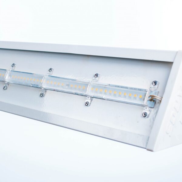 Светильник FG 601 55W IP23